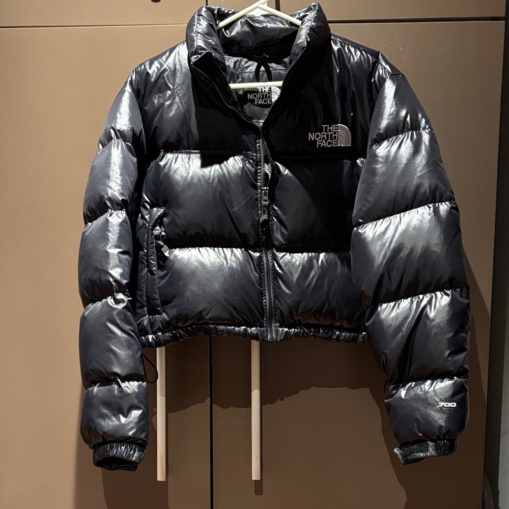The North Face 700 Black Puffer Coat